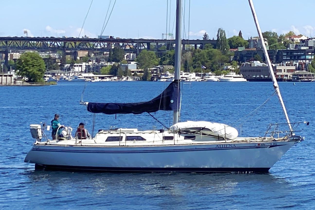 1980 Sceptre 36