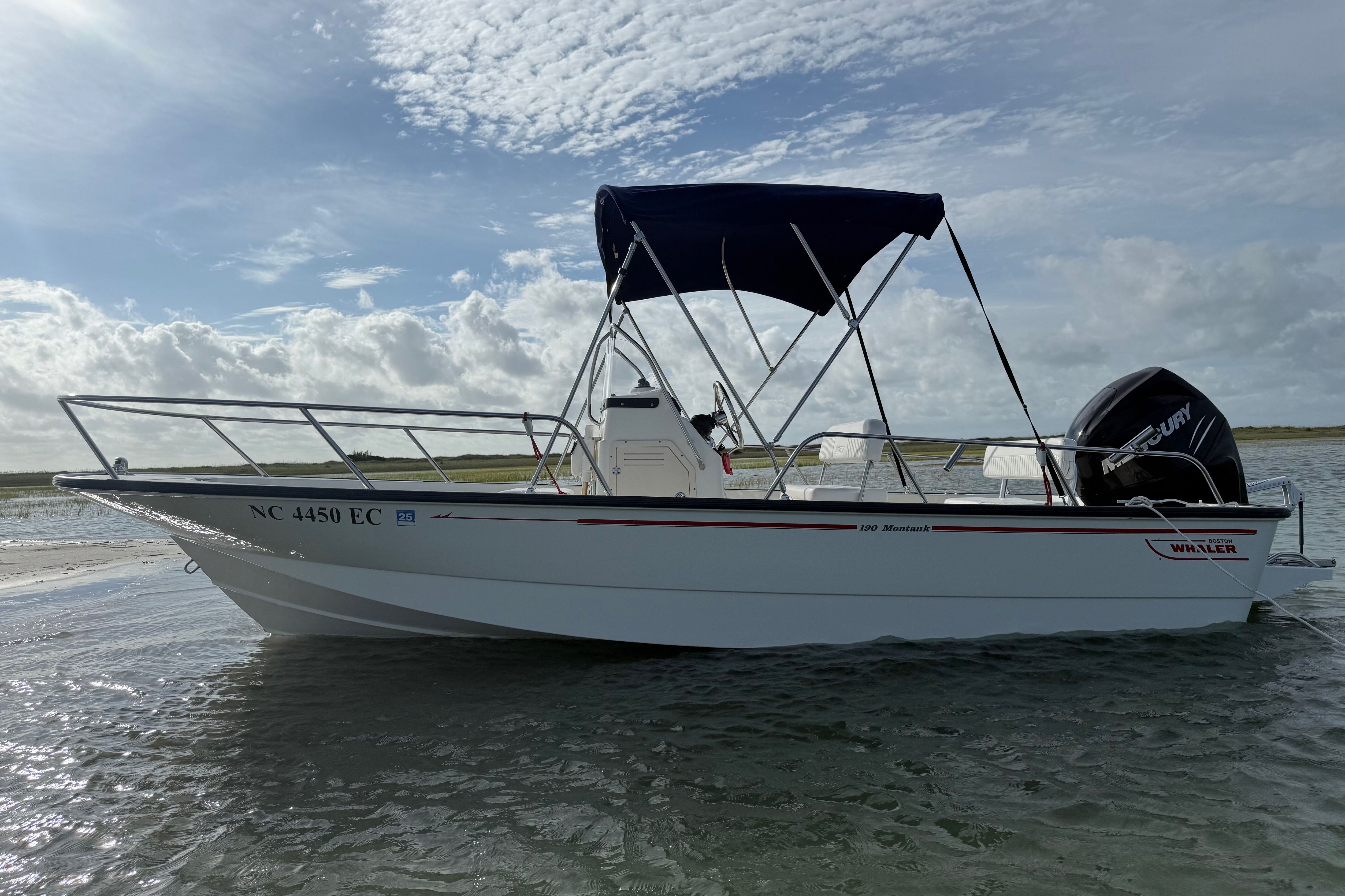2009 Boston Whaler 190 Montauk - 15