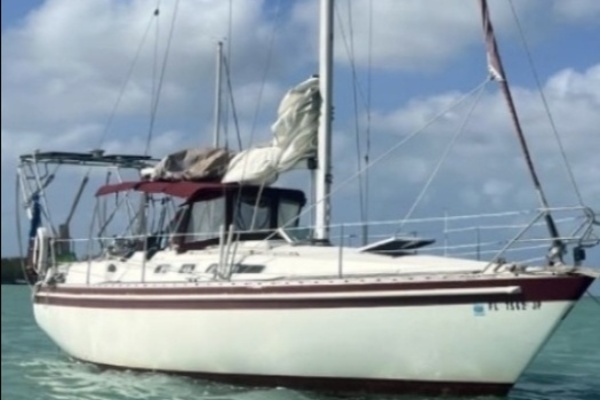 1985 Scanmar
