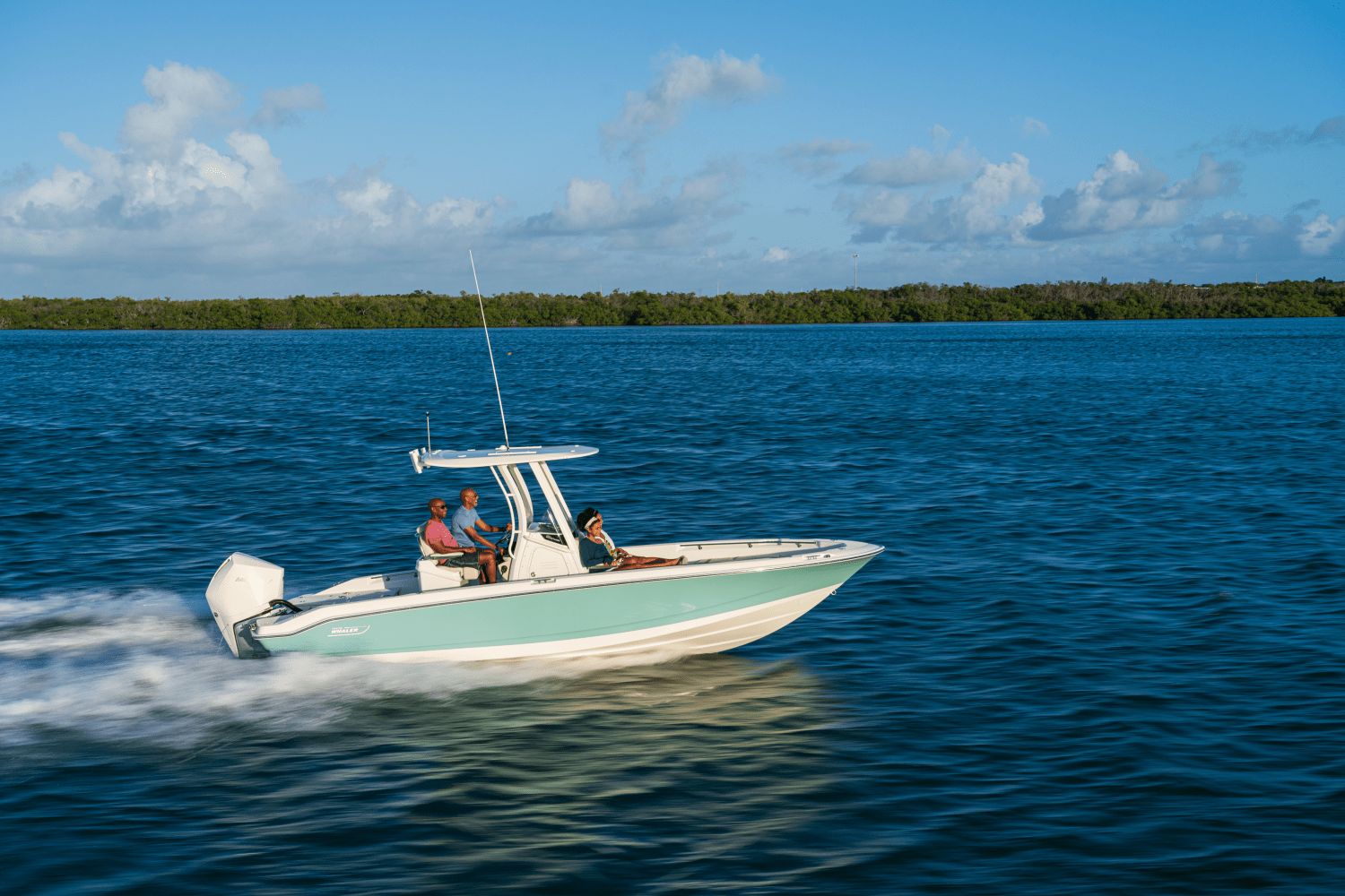 2026 Boston Whaler 250 Dauntless - 27
