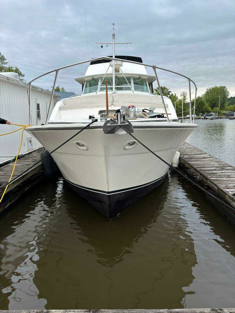 1977 Bertram 42 Motor Yacht - Image 3