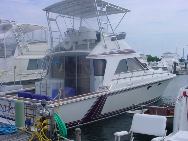 1988 Trojan International 12 Meter Convertible