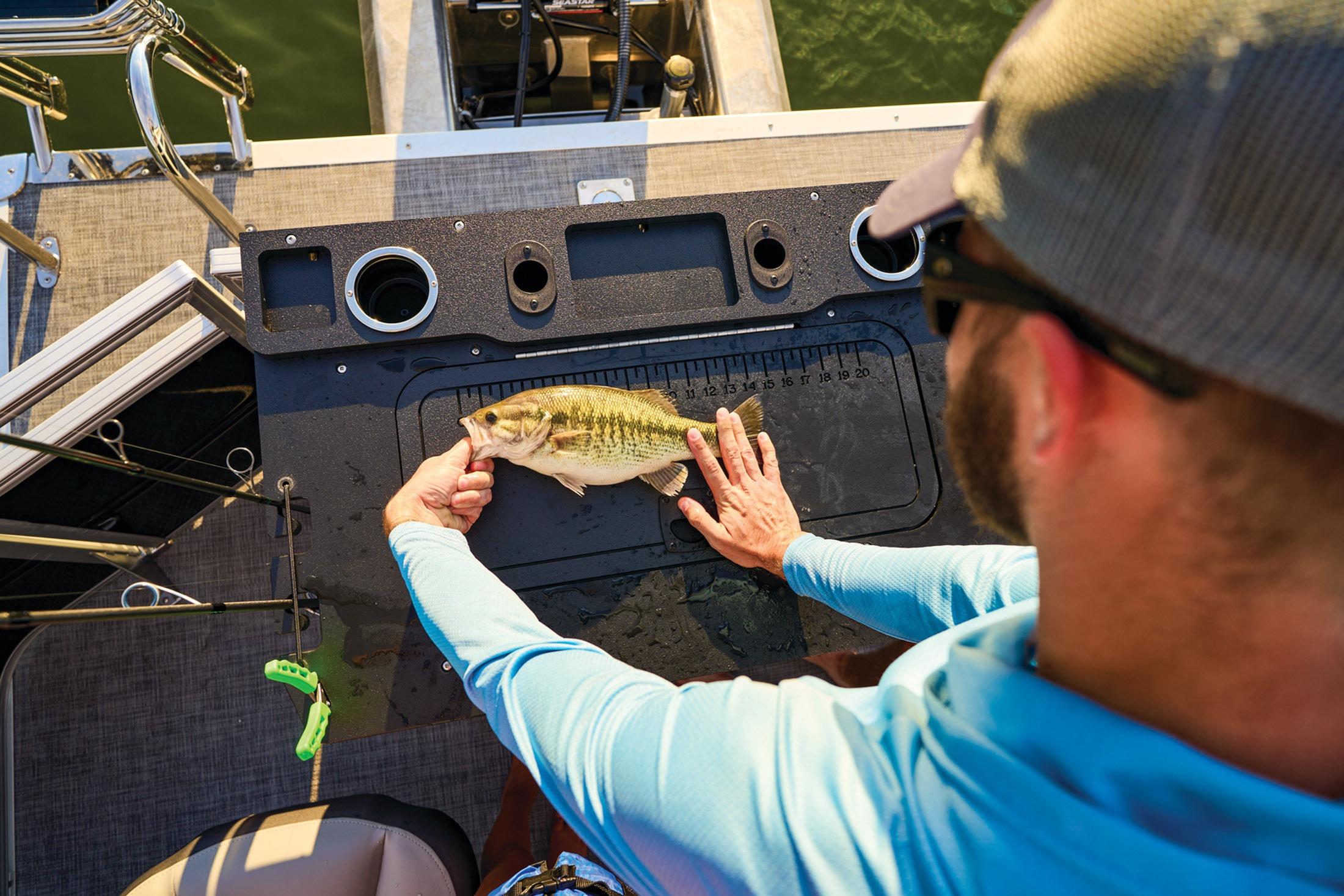 2026 Sun Tracker Sportfish 24 XP3 - 29