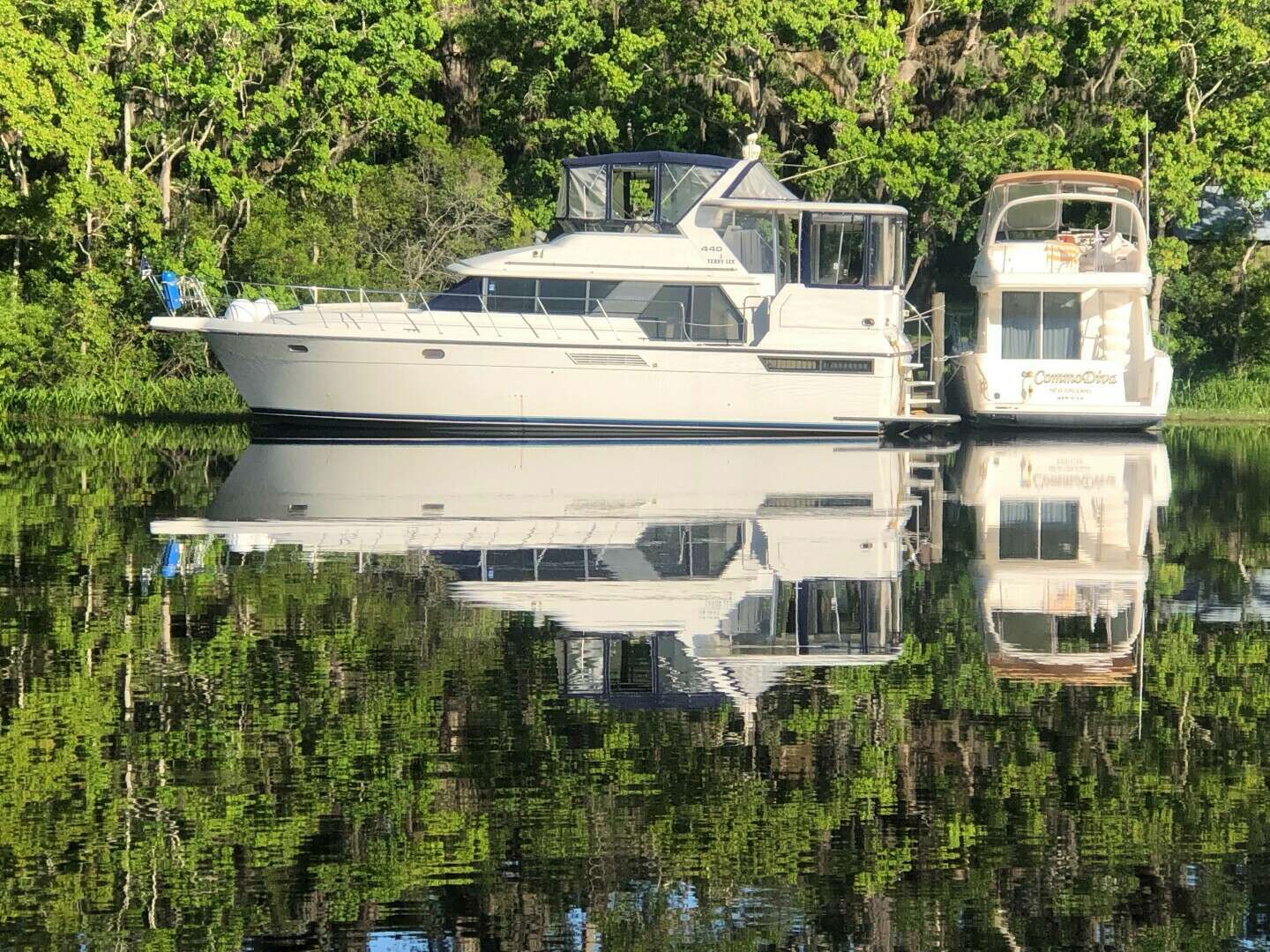 1995 Carver 440 Aft Cabin - Image 2