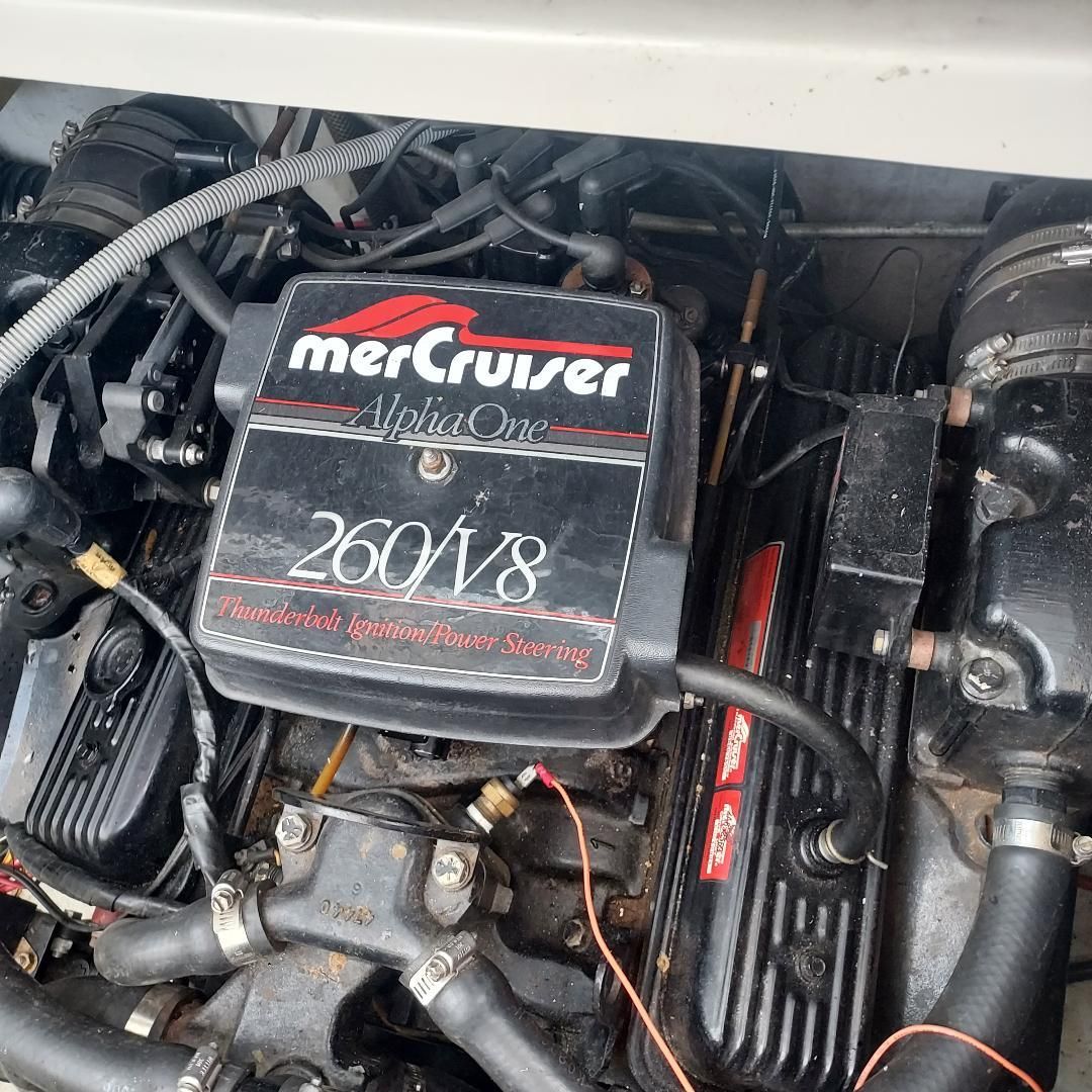 1987 Regal Commodore - 8