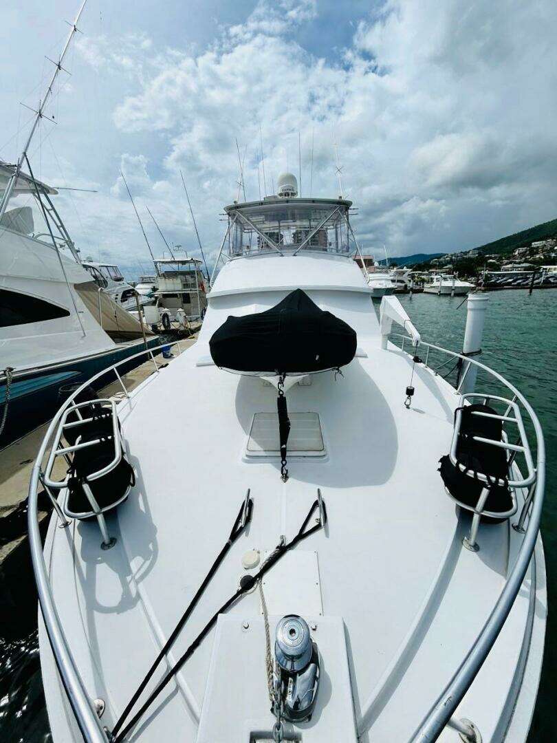 1988 Bertram 54' - Image 38