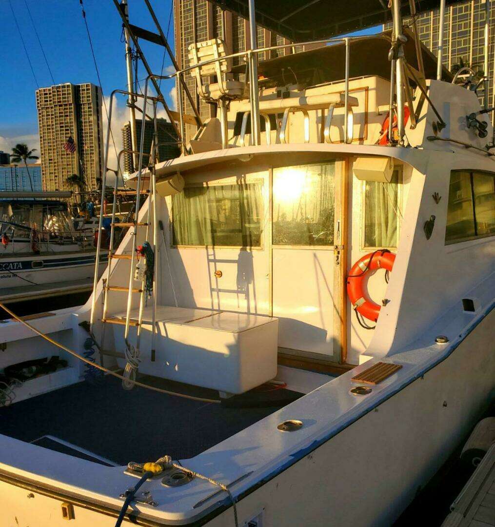 1979 Bertram 38 Convertible Sportfisher - Image 15