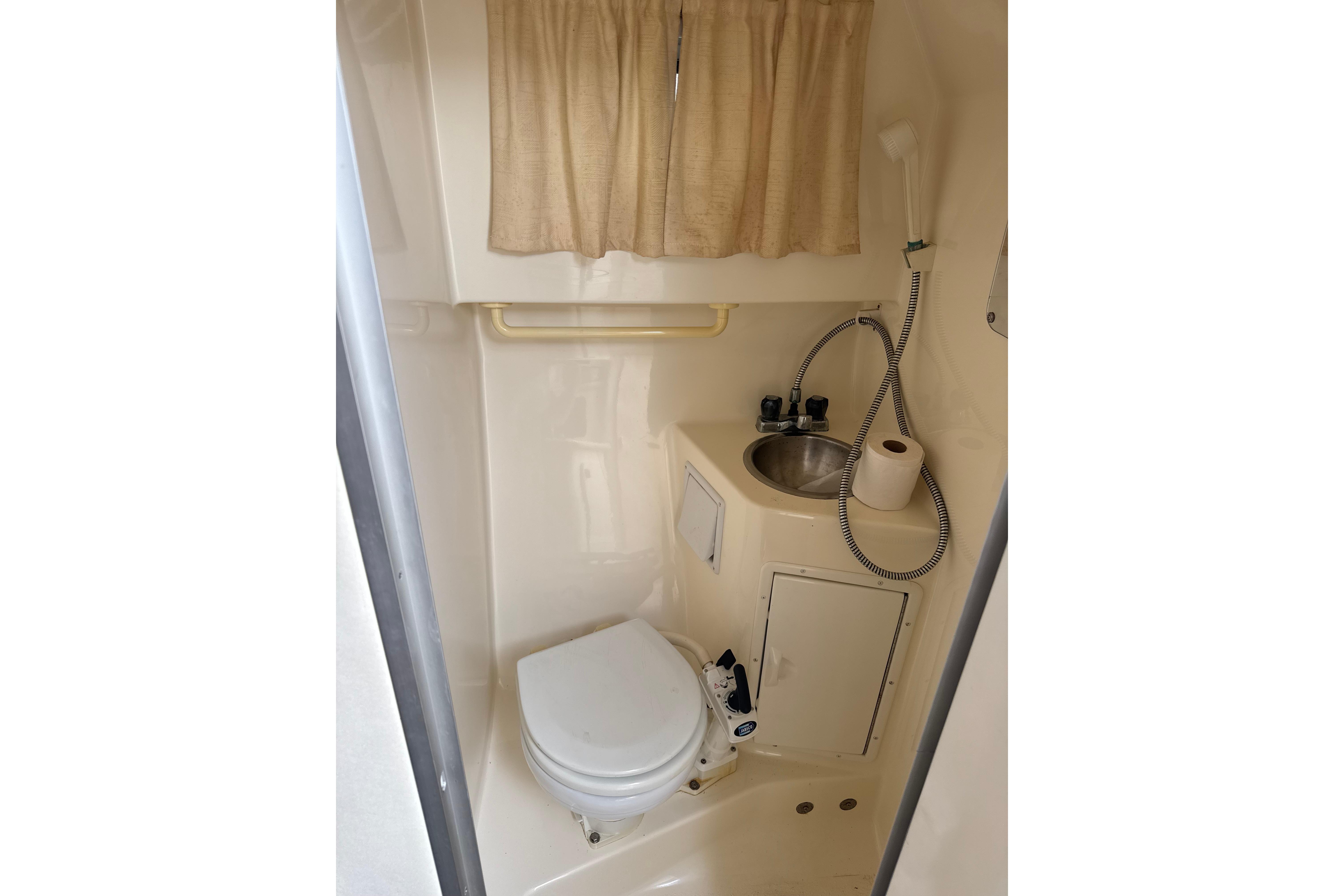 1997 Monterey 256 Cruiser bathroom with toilet, sink, showerhead, and curtain.