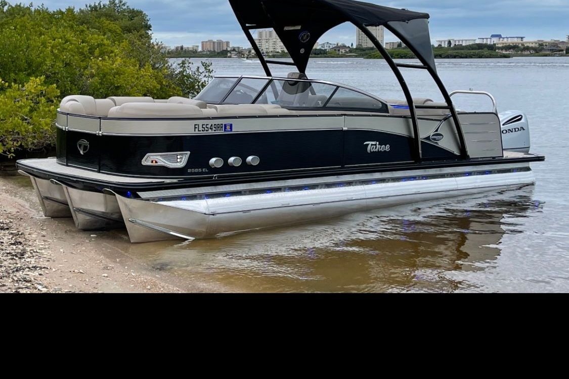 A sleek pontoon boat is docked at the shore, surrounded by water and vegetation.