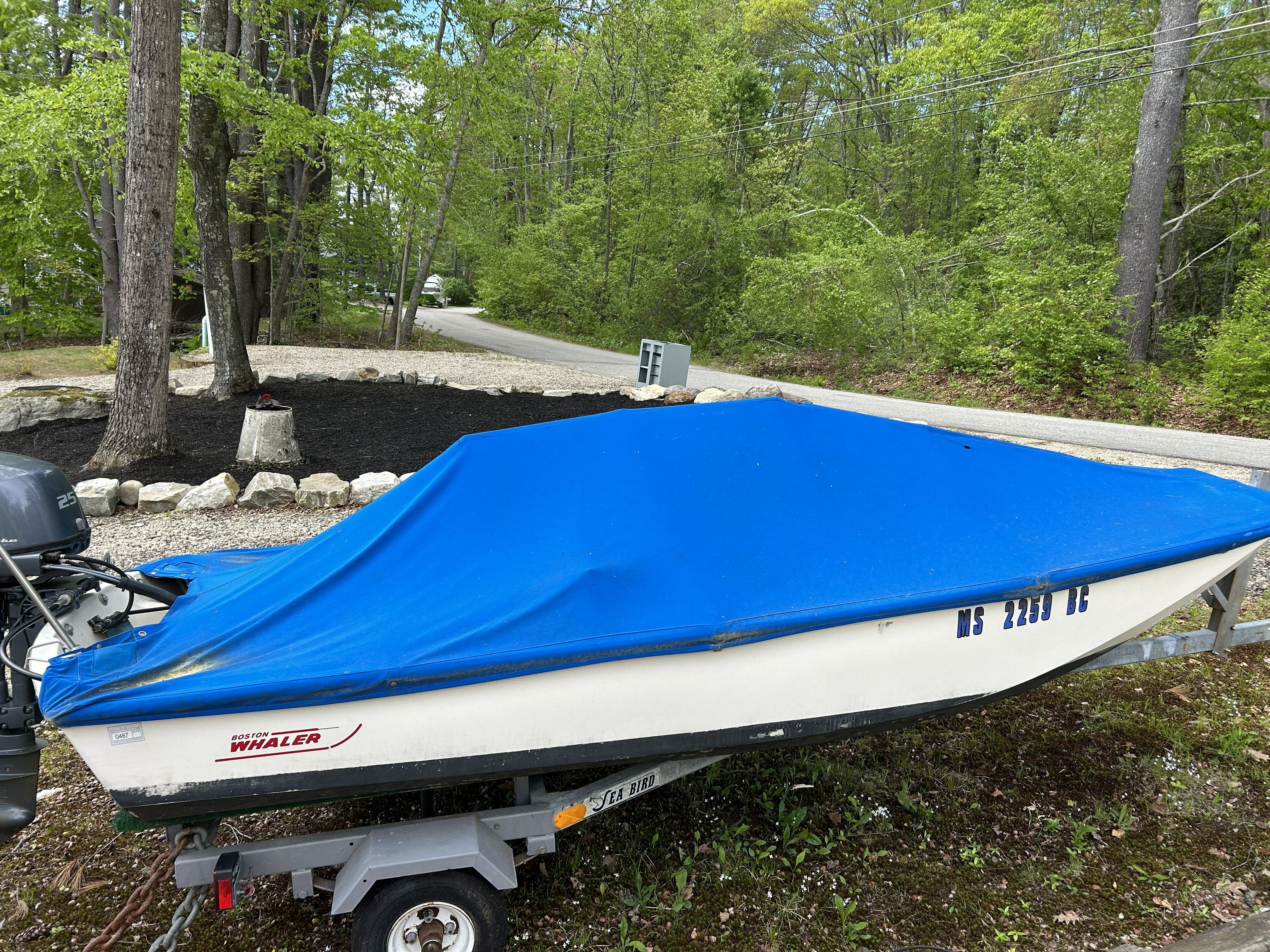 1975 Boston Whaler 13 ft boat with blue cover on trailer.