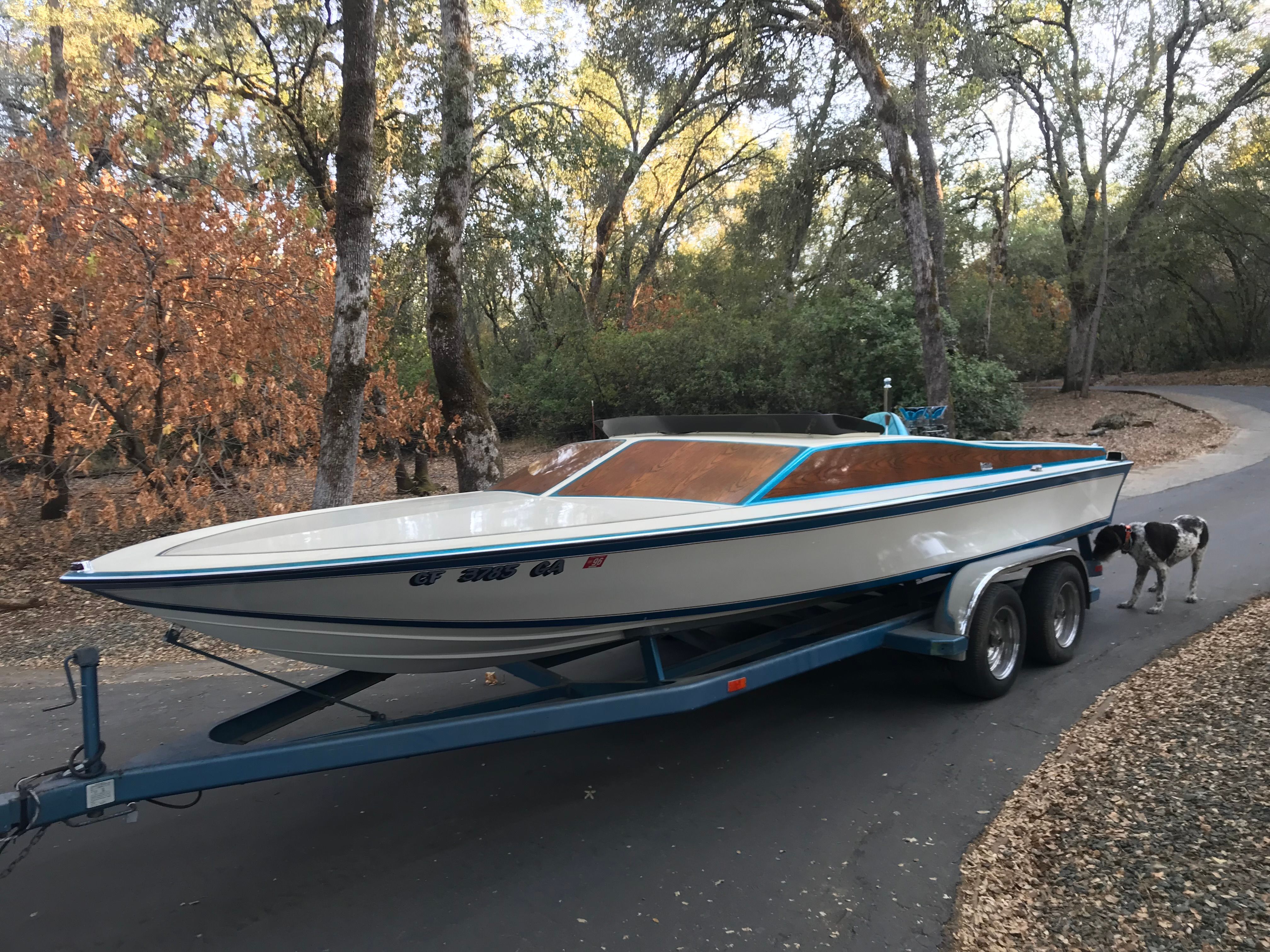 1976 Tahiti Day Cruiser