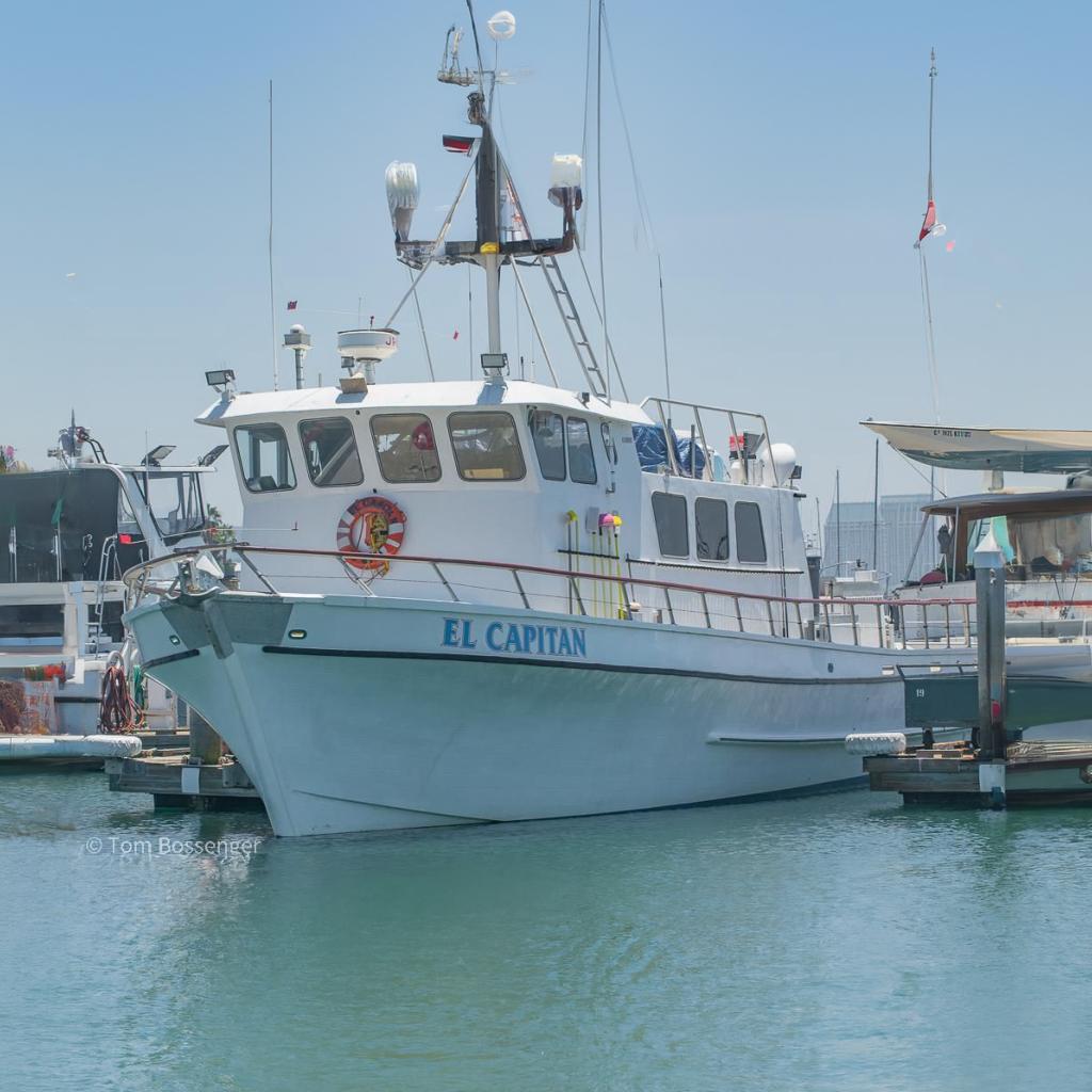 1975 Blanchard Passenger Sportfisher