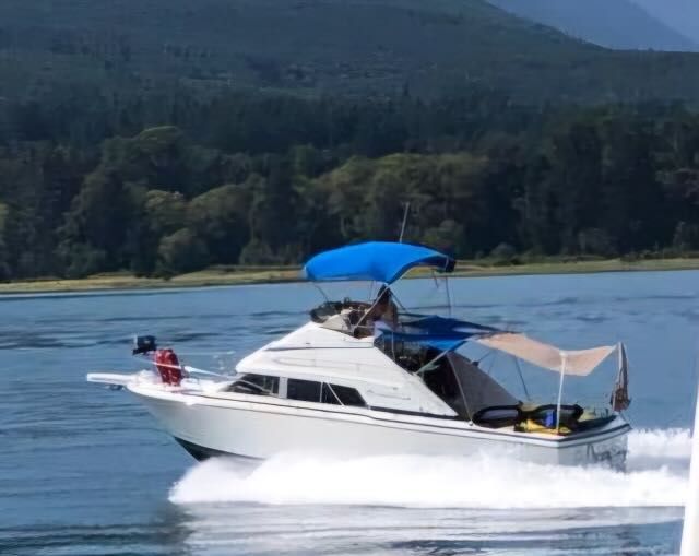 1984 Bertram 30