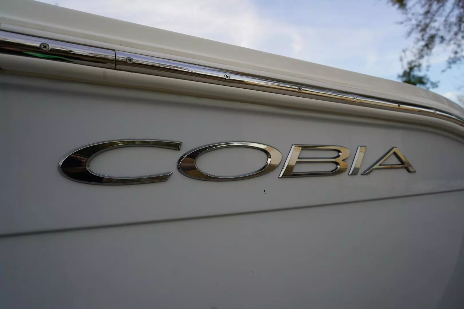 2022 Cobia 262 - Image 27