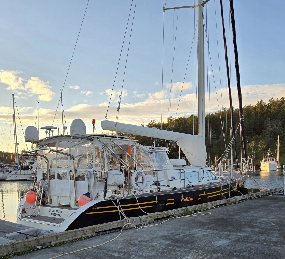 2006 Waterline 50 - Image 2
