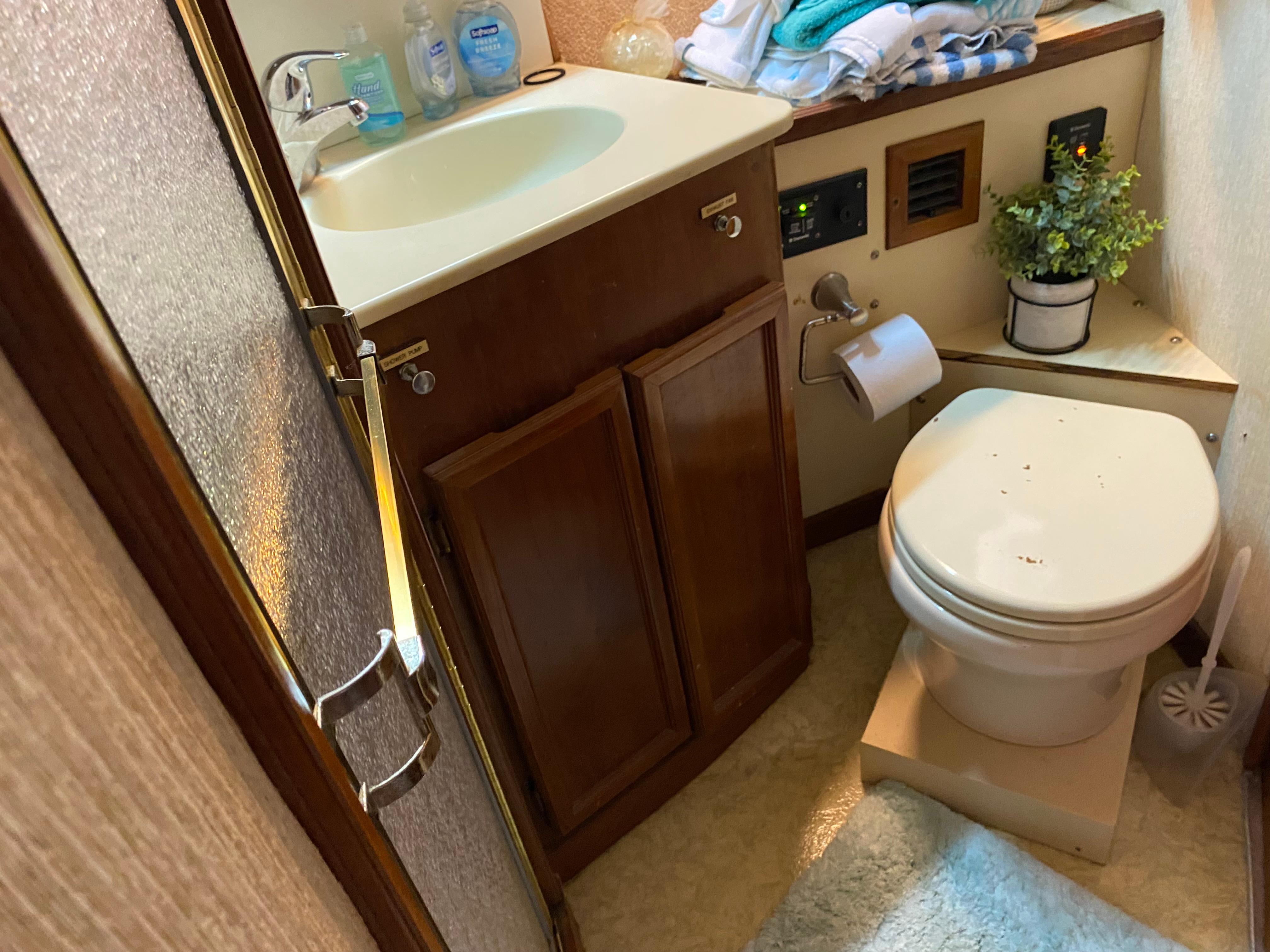 Bathroom interior of 1990 Egg Harbor 42 Golden Egg yacht, featuring sink and toilet.