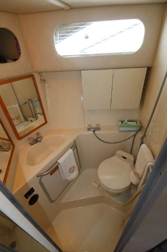 1992 Sea Ray 350 Express Bridge bathroom with sink, toilet, and mirror.
