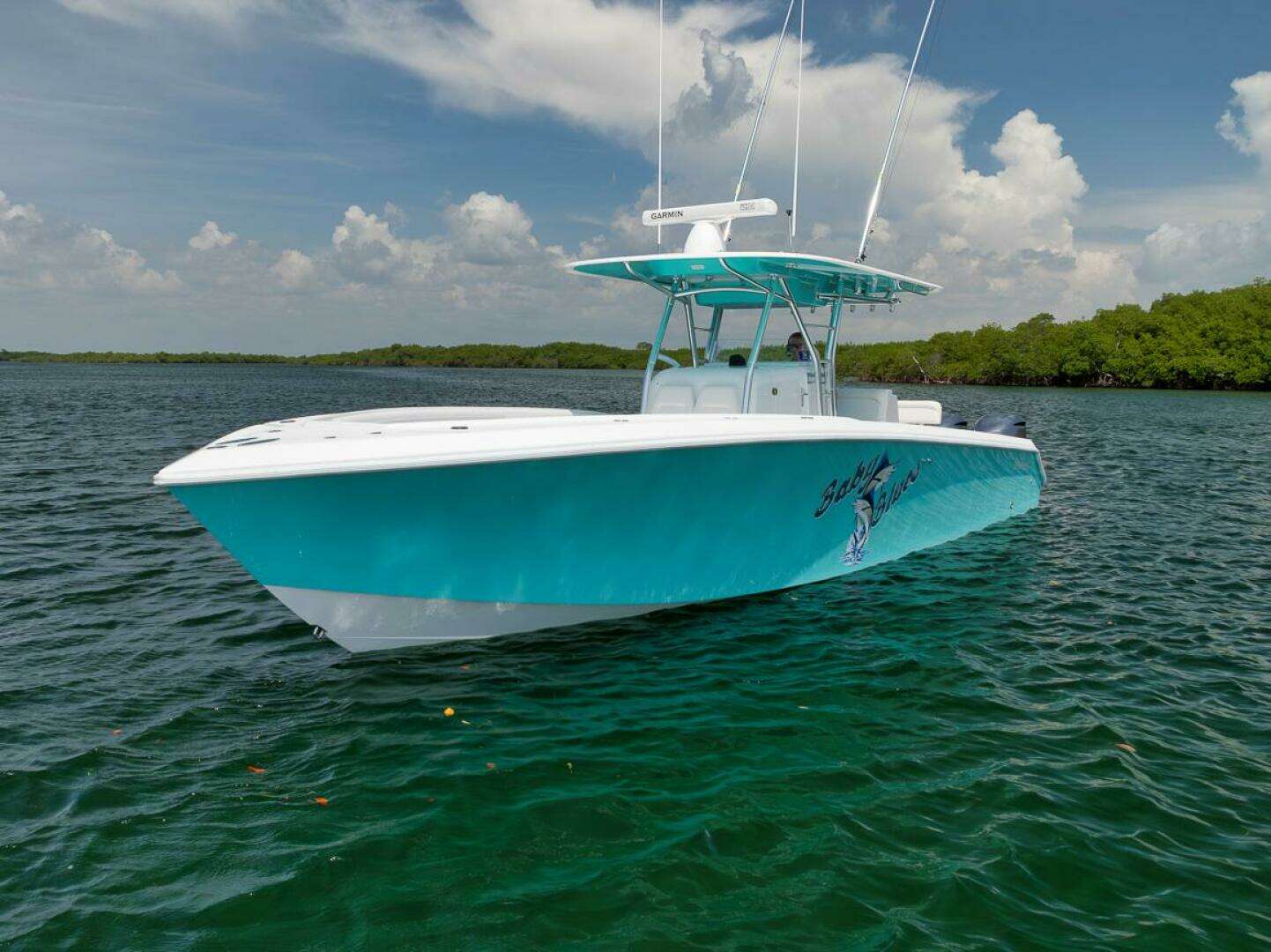 2013 Bahama — - Image 14