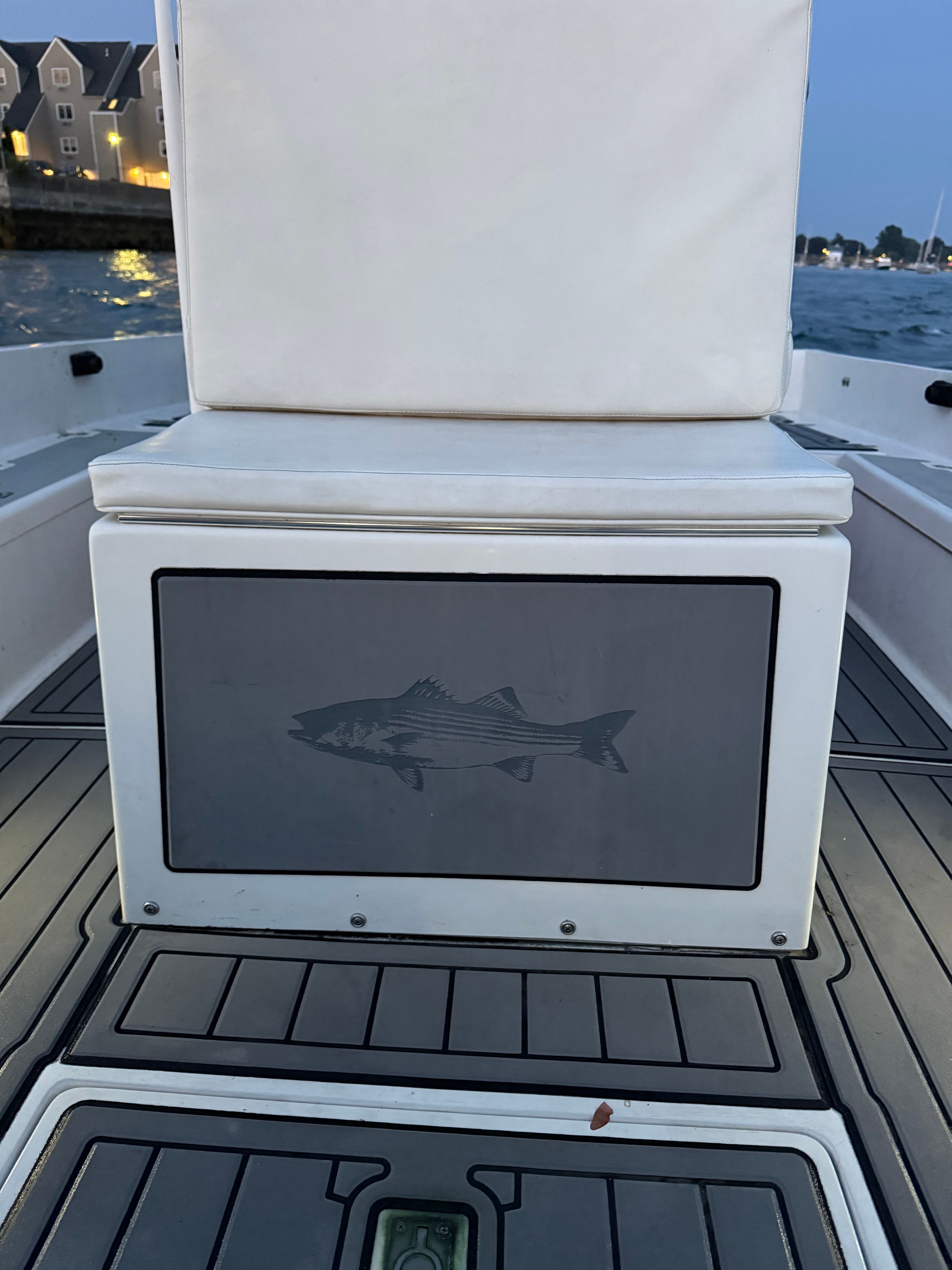Custom 2004 Sea Fly boat interior with fish design on storage compartment.