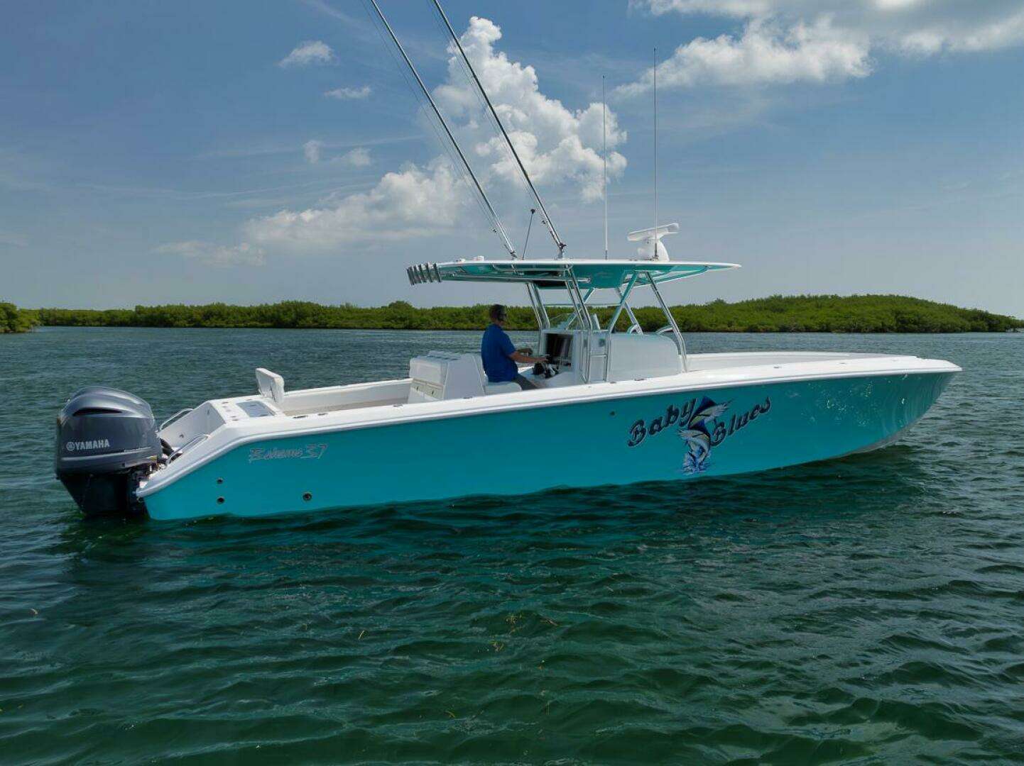 2013 Bahama — - Image 20