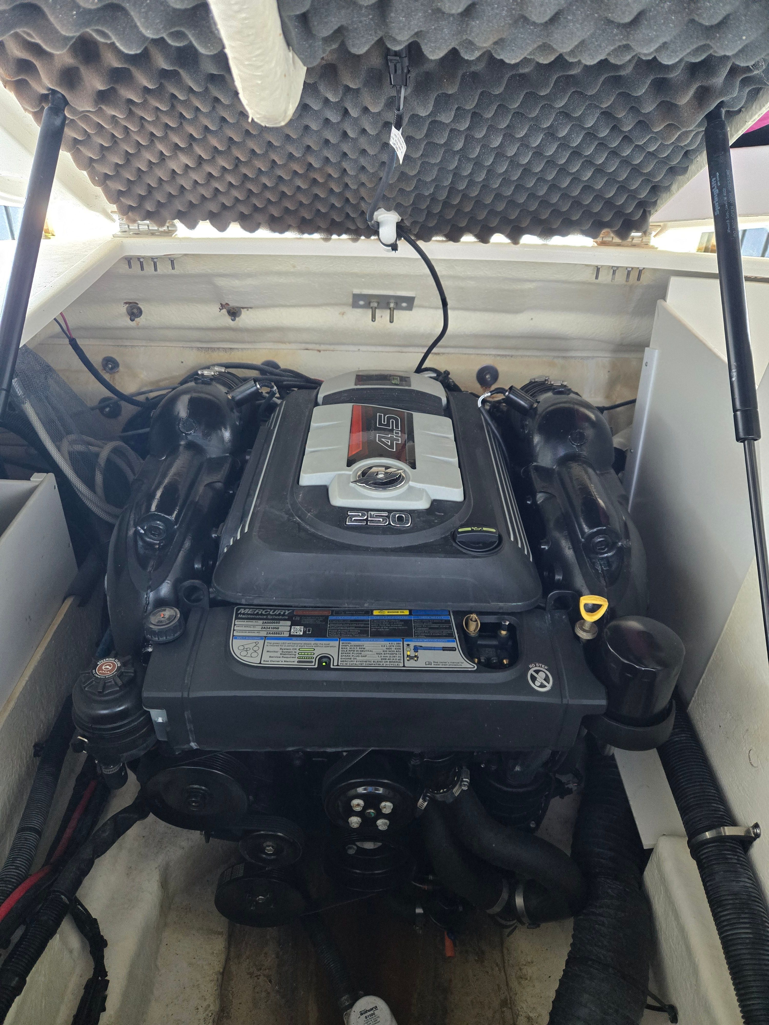2017 Sea Ray SDX 240 - 5