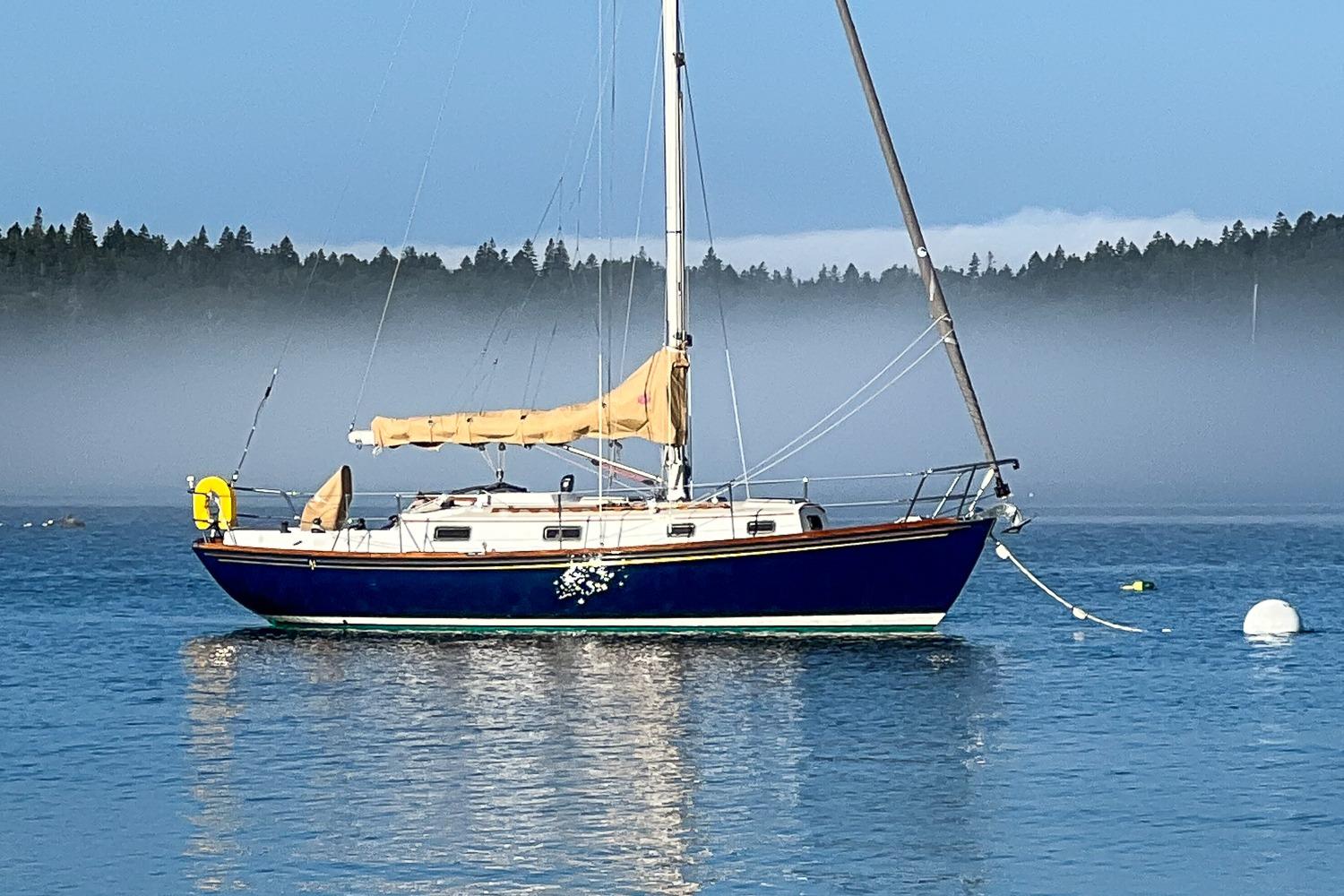 1989 Morris Ocean Series 32