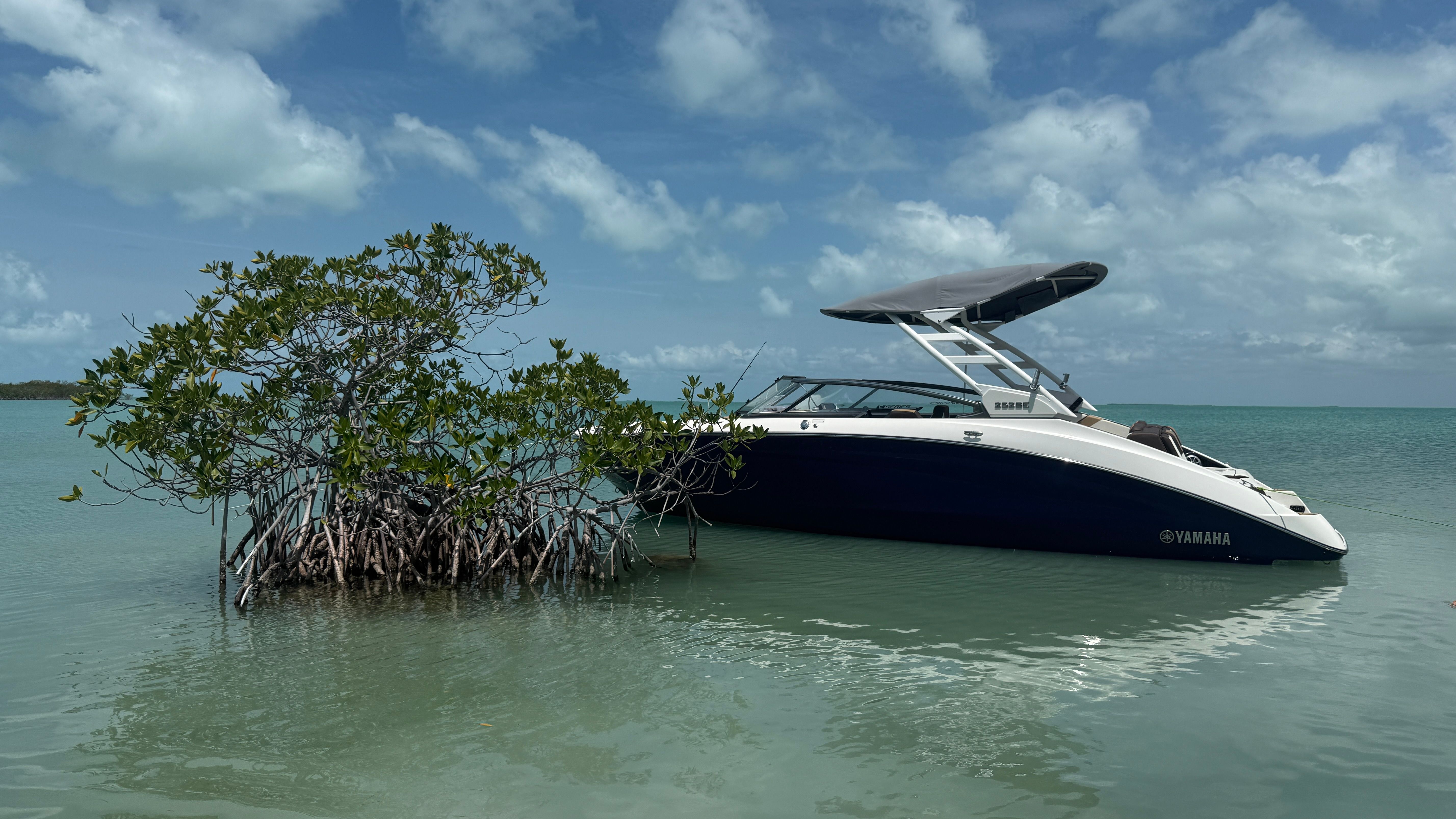 2022 Yamaha Boats 252SE