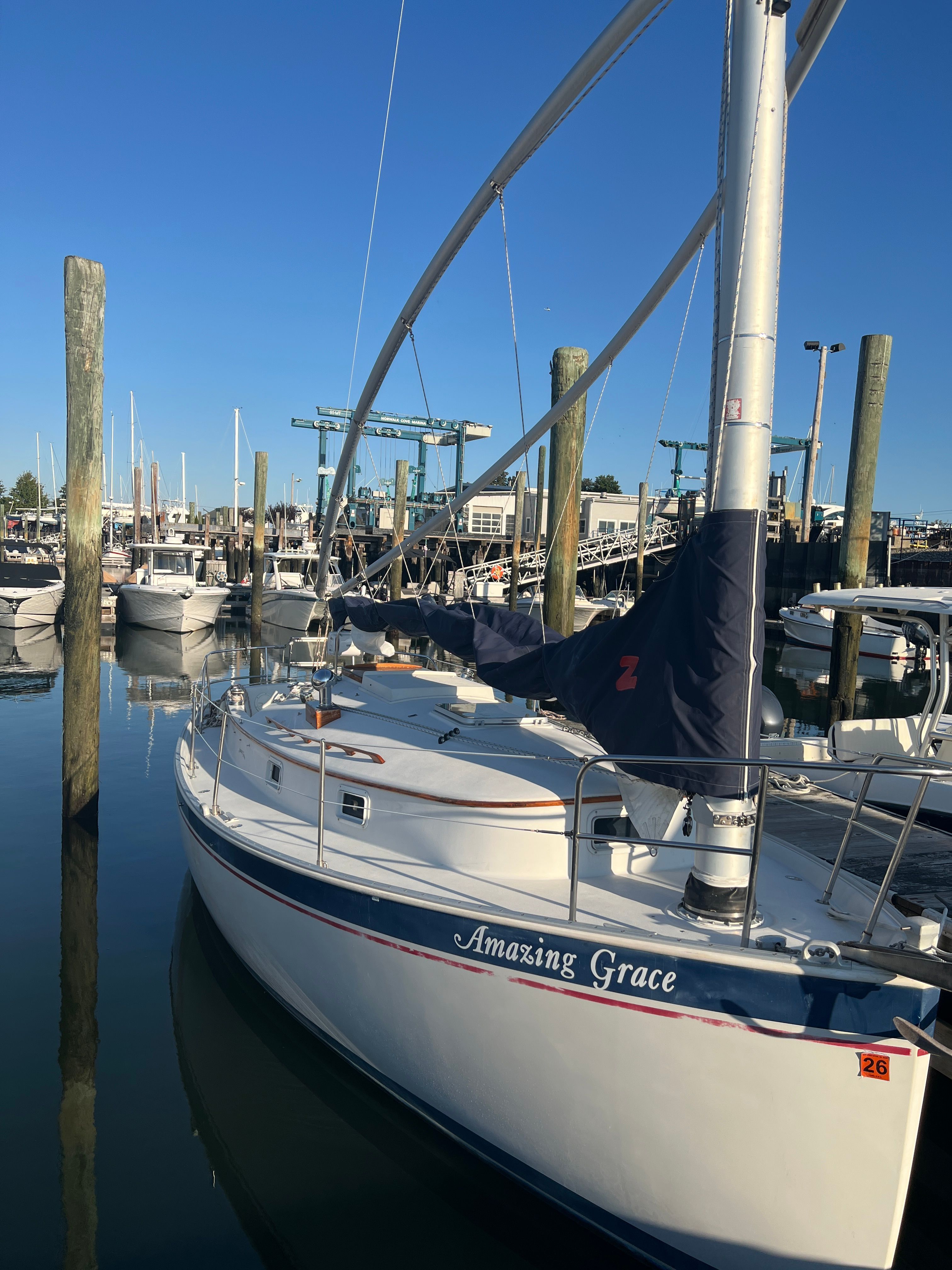 1989 Nonsuch Classic - 3