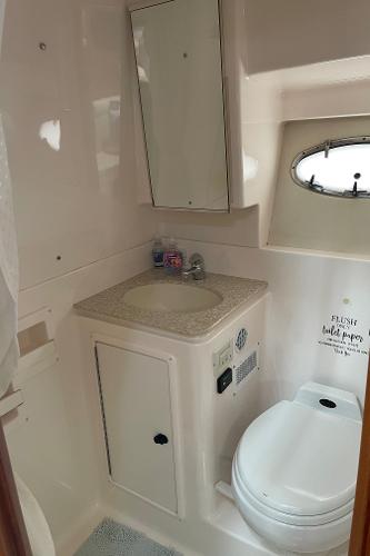 The image shows a boat bathroom with a sink, mirror, and toilet.