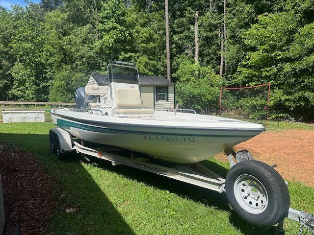 2003 Skeeter ZX2200 boat on trailer in backyard.