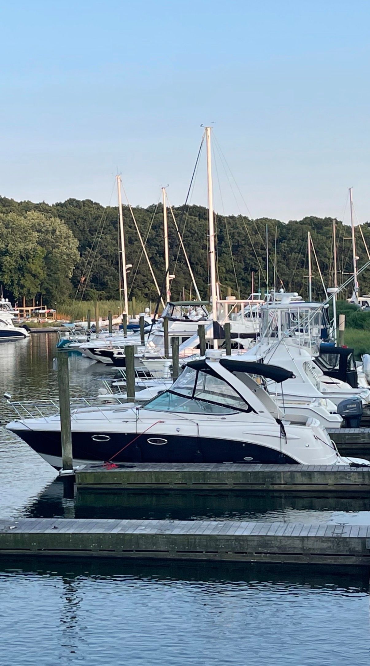 2006 Chaparral Signature 310 docked, surrounded by sailboats.