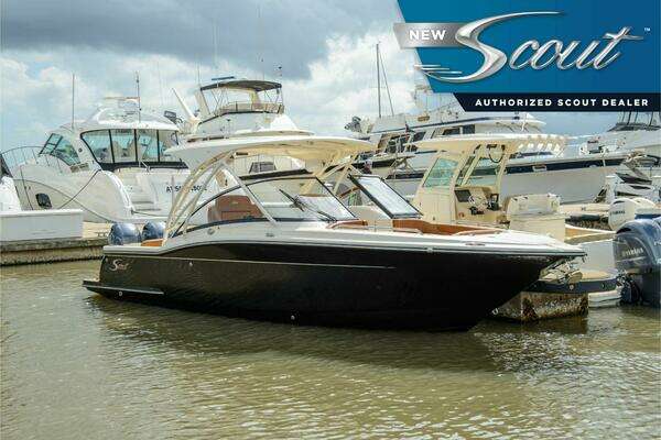 2026 Scout 255 Dorado
