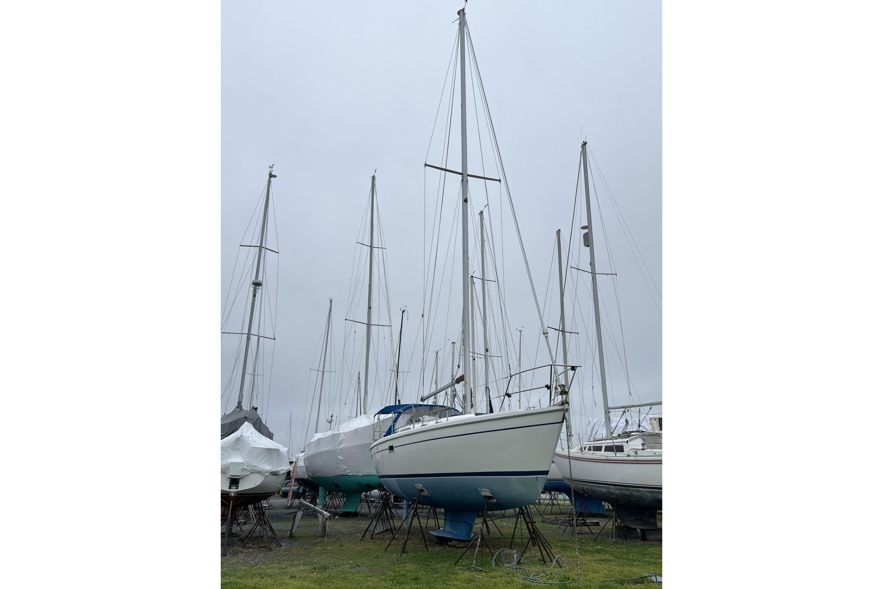 1995 Catalina 36 MkII