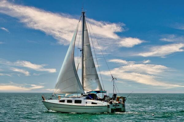 1979 Ocean Winds
