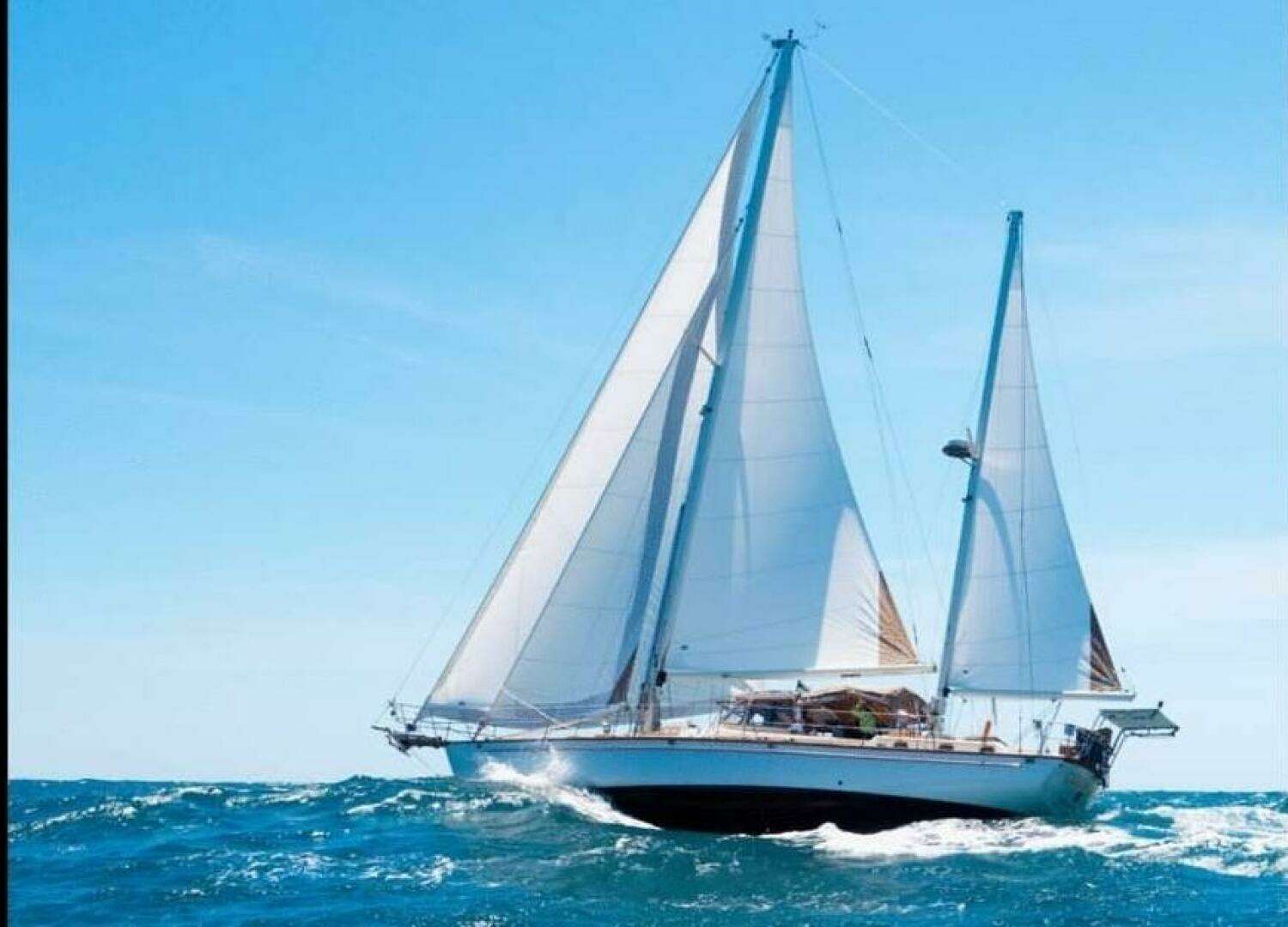 1984 Shannon Aegean - Image 2