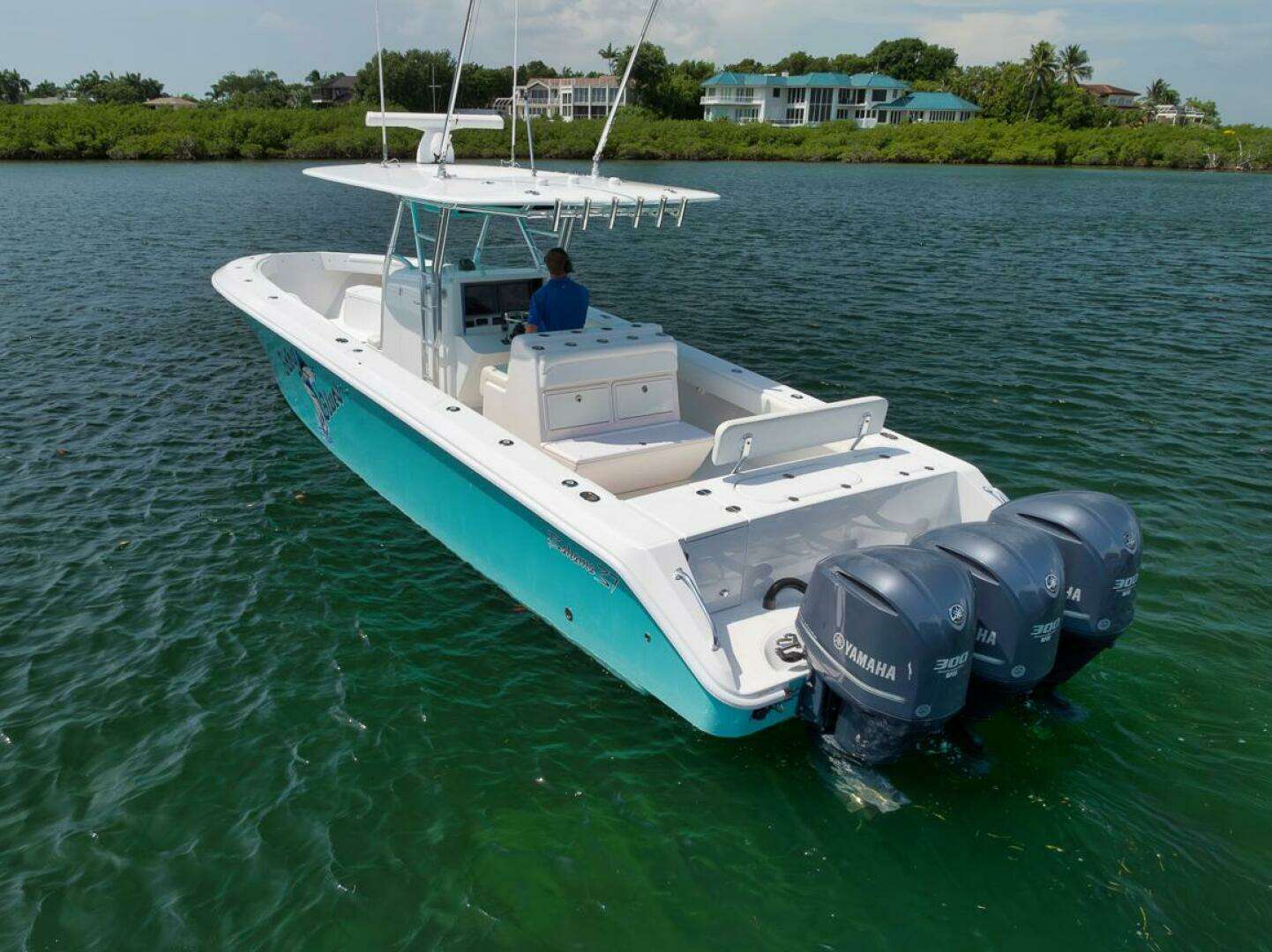 2013 Bahama — - Image 15