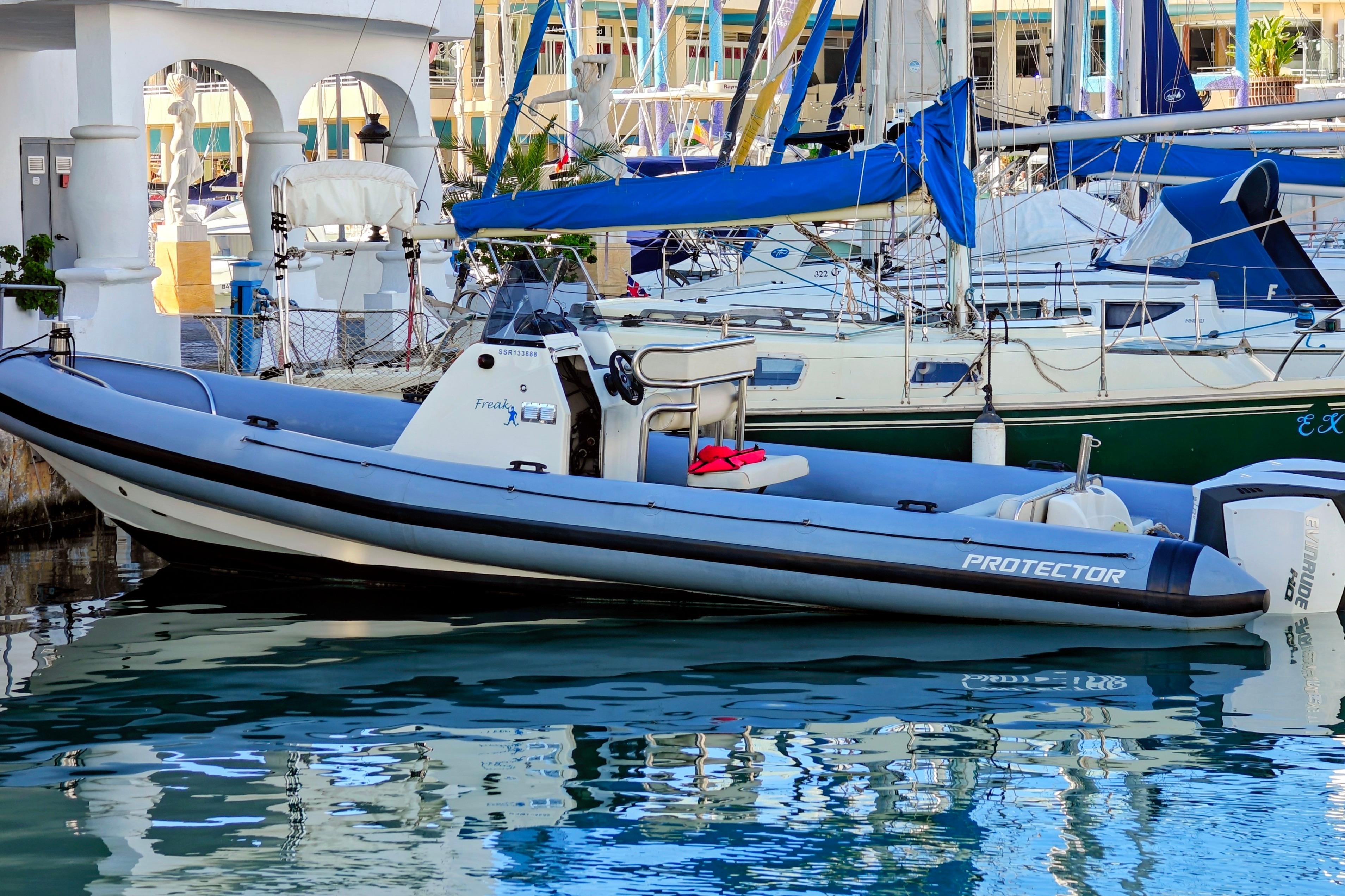 2005 Protector RIB 8.75m