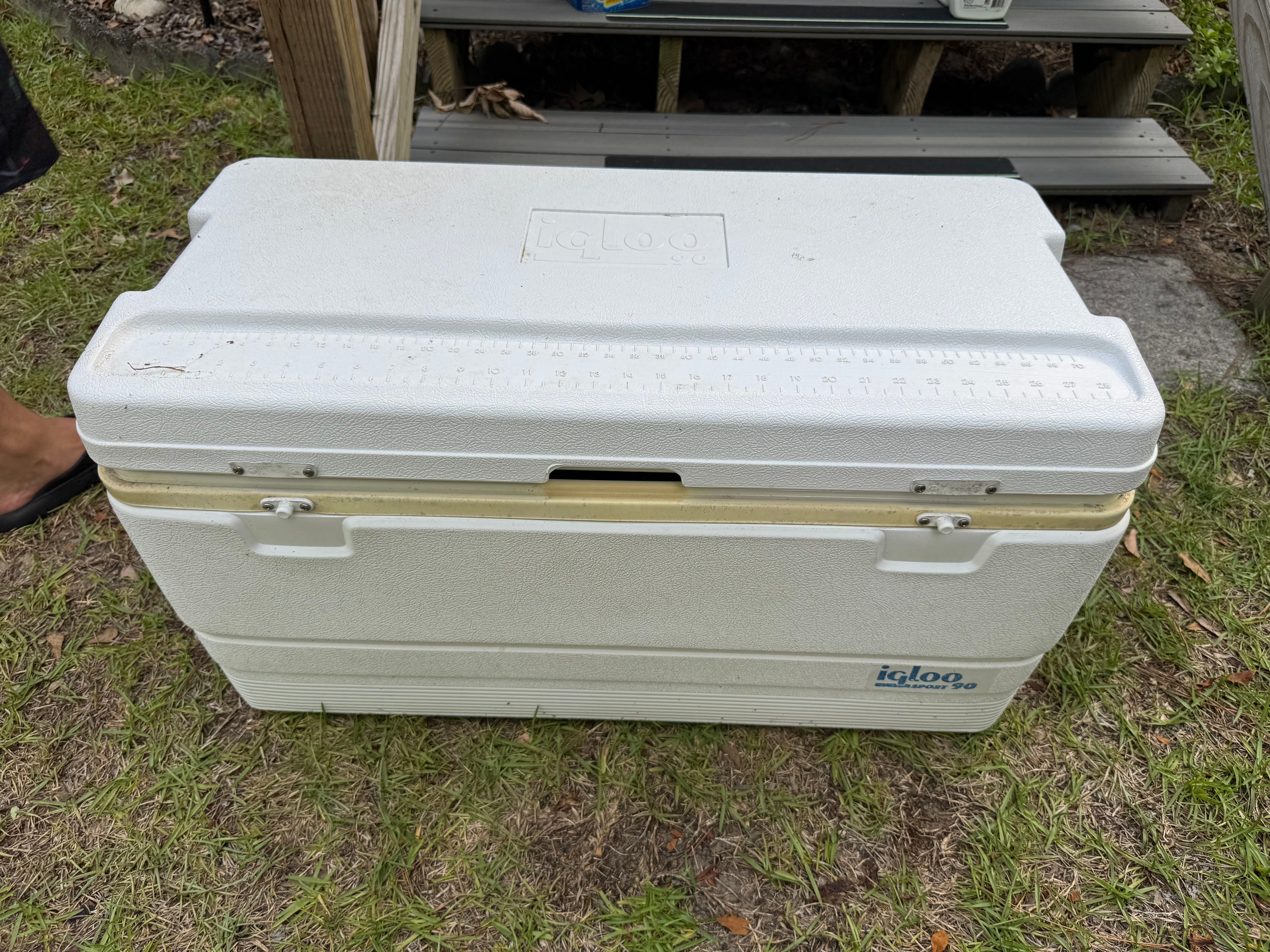A white cooler sits on grass next to wooden steps.