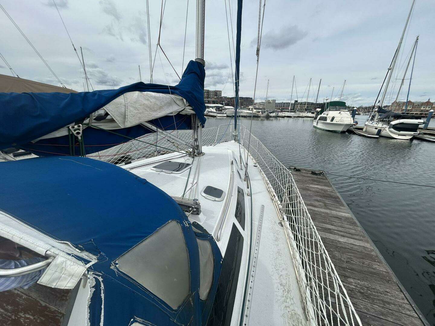 1995 Catalina 320 - Image 36