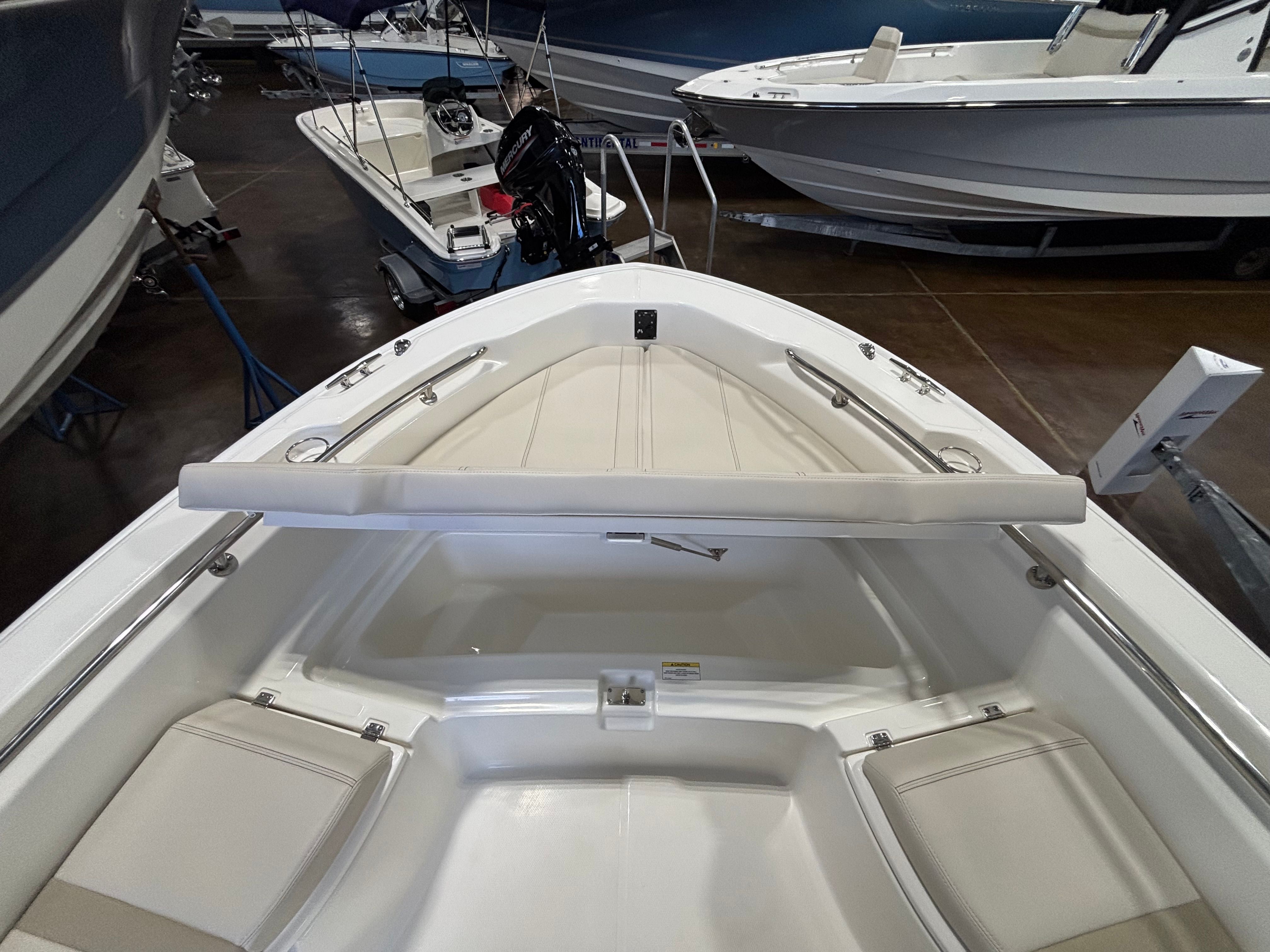 2026 Boston Whaler 250 Dauntless - 18