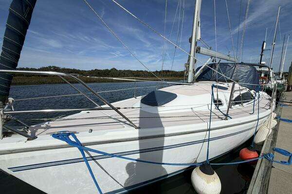 2010 Catalina 309