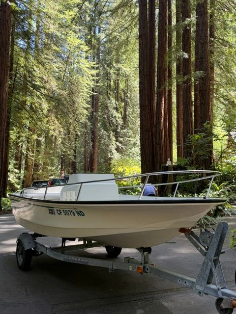 A Boston Whaler jet boat on a trailer in a forest setting.