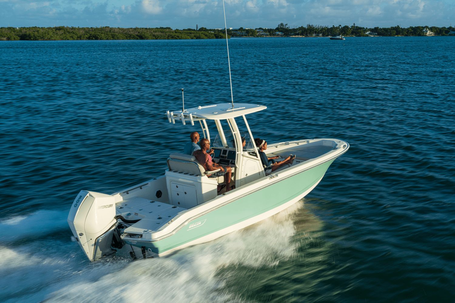 2026 Boston Whaler 250 Dauntless - 26