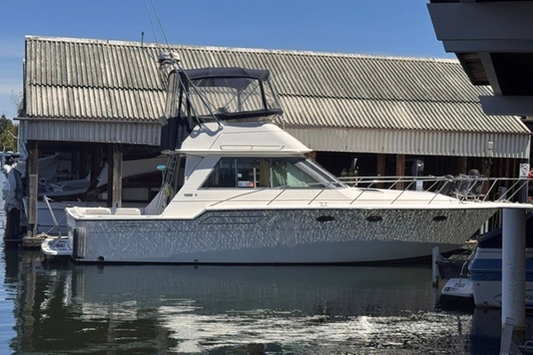 1988 Tiara Sport 3600 Convertible