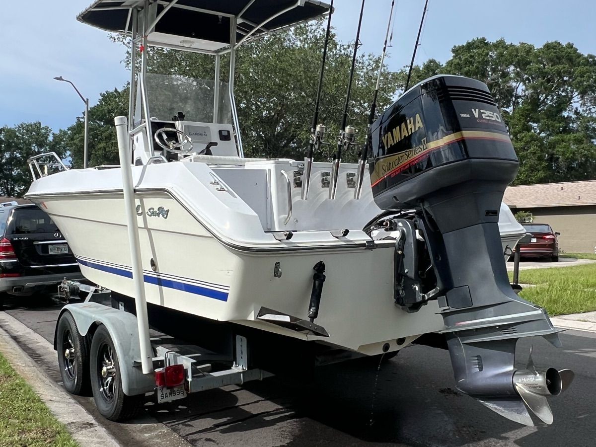 1994 Sea Ray Laguna