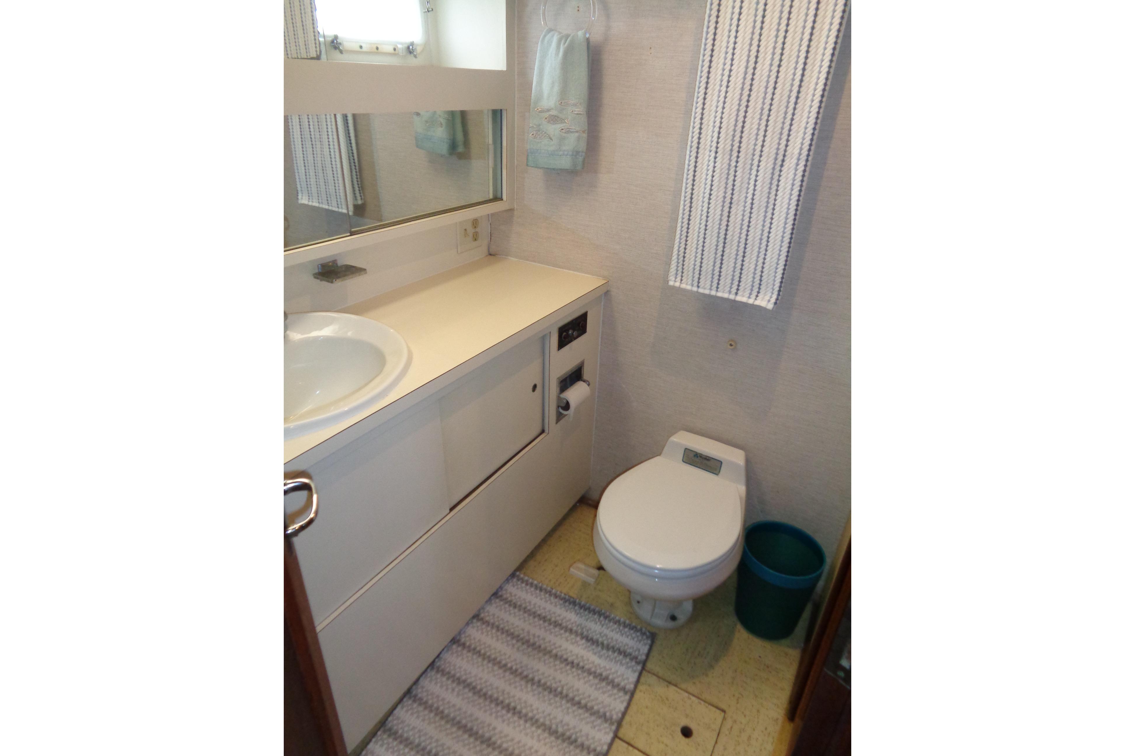 Bathroom interior of 1981 Hatteras 48 Cockpit Motor Yacht, featuring sink and toilet.