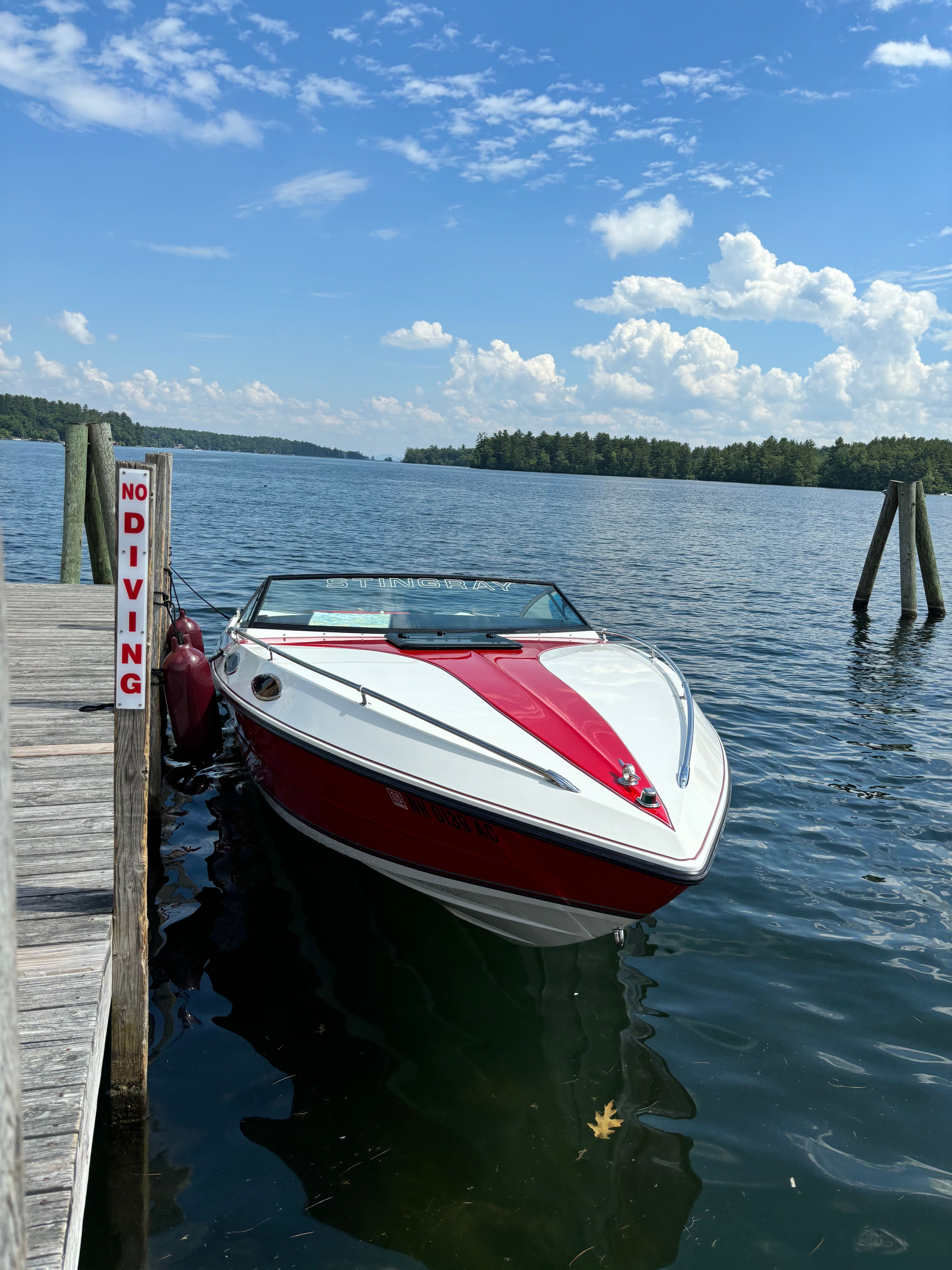 1988 Stingray Maxim 222 SS - 8