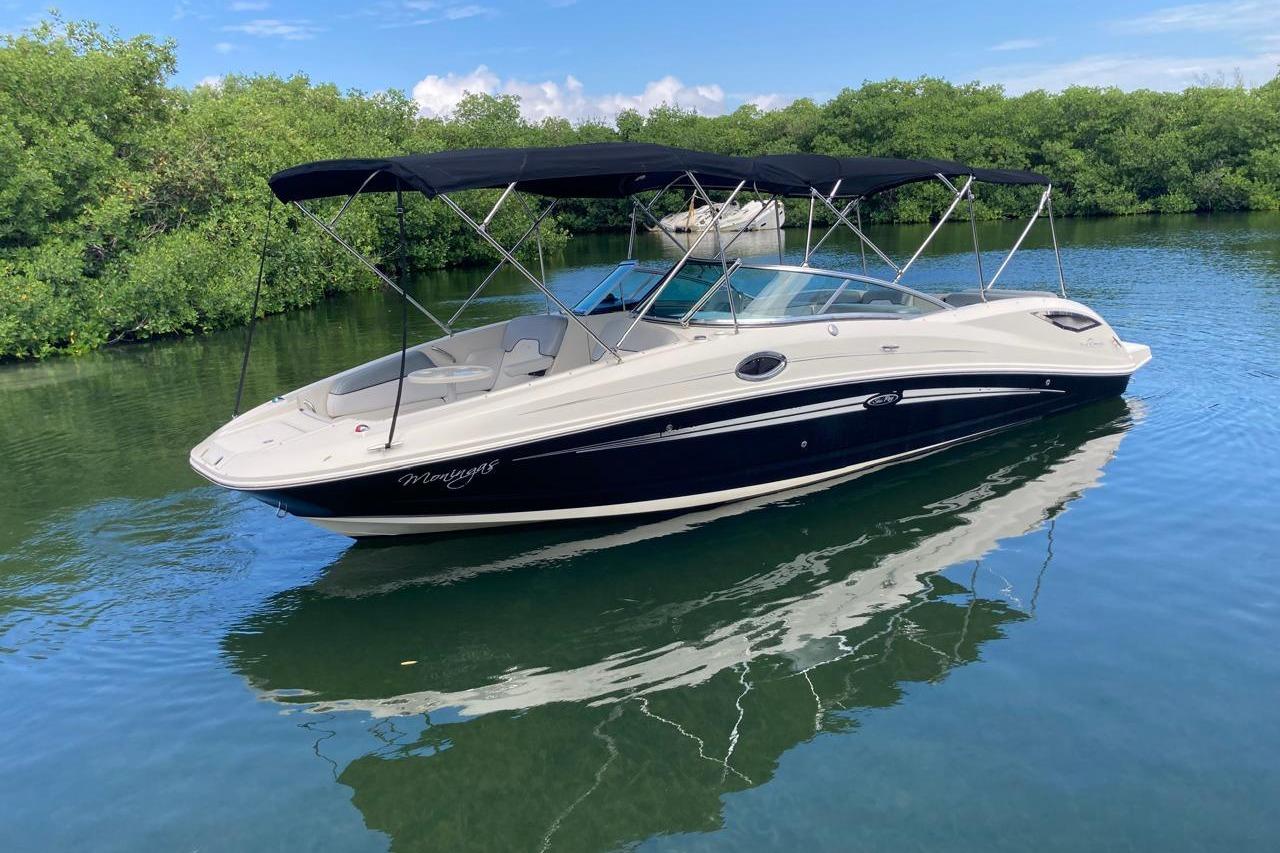 2010 Sea Ray 300 Sundeck