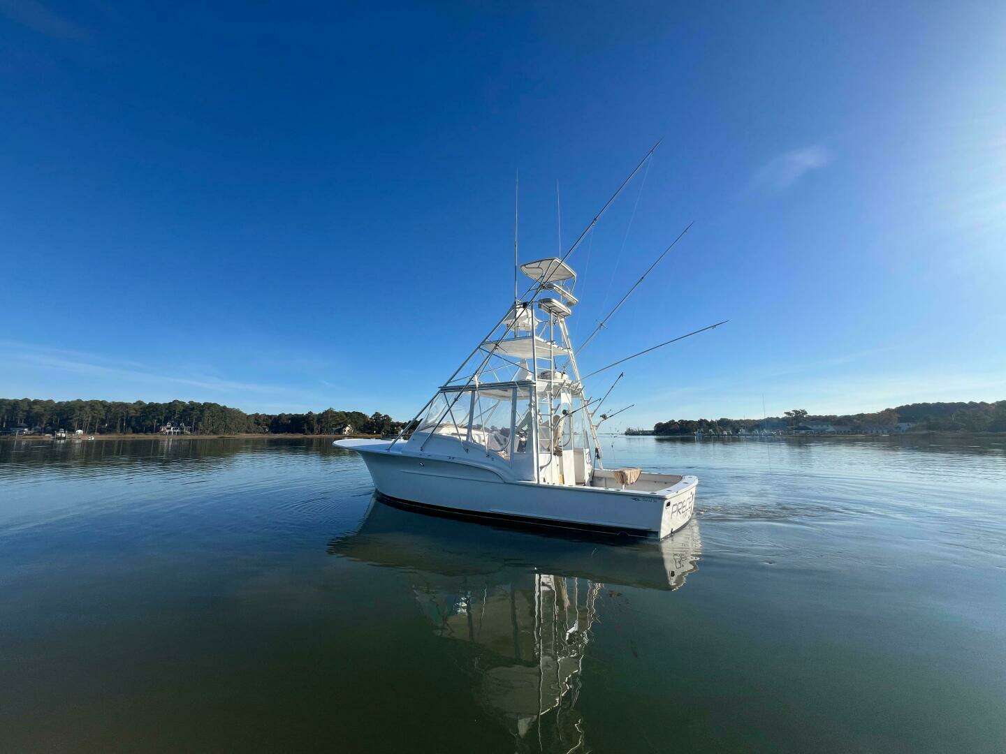 1998 Jersey Cape 36 Express - Image 2