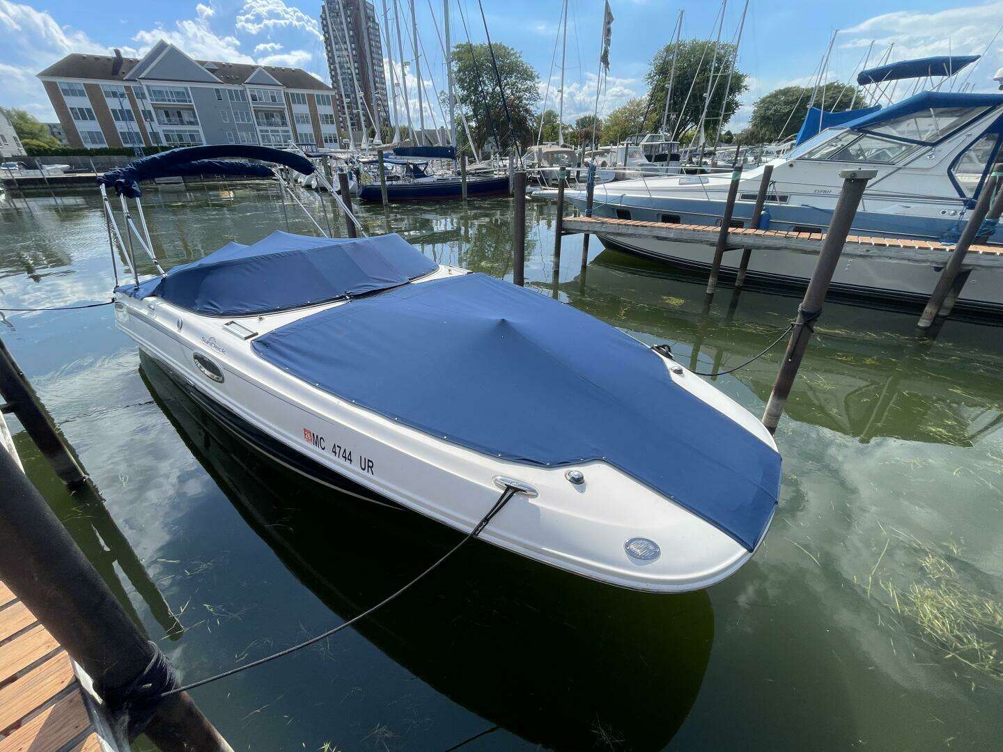 2010 Sea Ray 280 Sun Deck - Image 2
